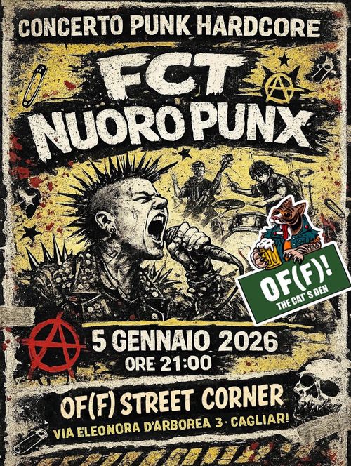Concerto Punk Hardcore
